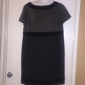 Tahari women’s size 16W short sleeve grey dress.